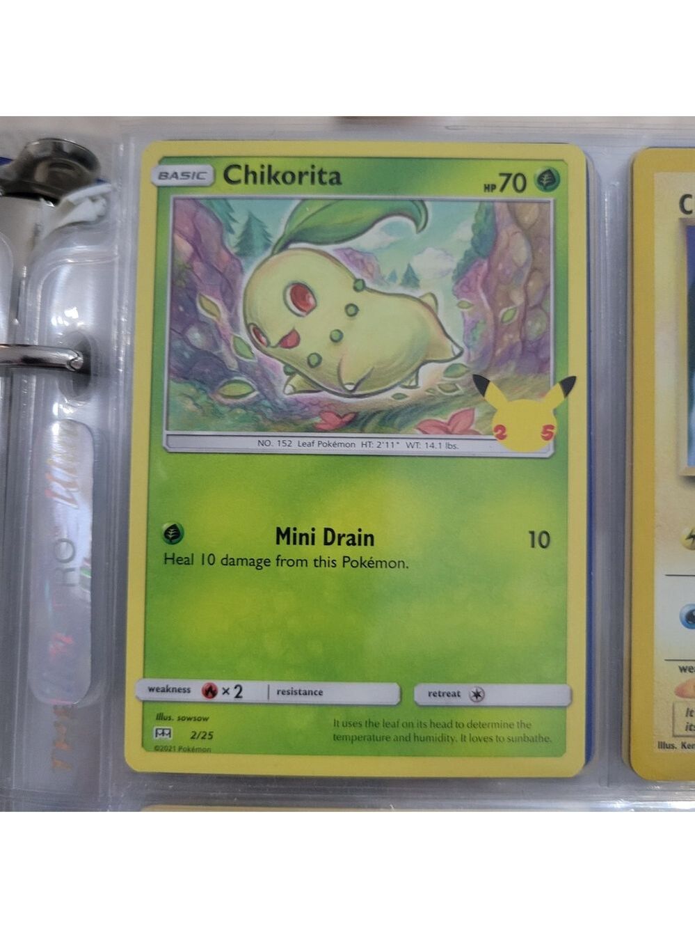 Pokemon Chikorita Card